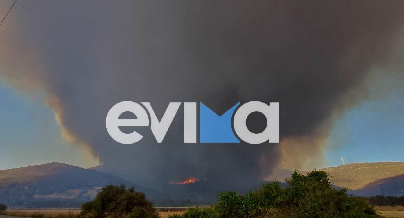 Φωτιά τώρα στην Εύβοια: Εκκενώνονται χωριά – Κλείνουν δρόμοι στην περιοχή