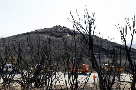 Έυβοια: Εικόνες καταστροφής μετά την φωτιά – 10.000 στρέμματα έχουν καεί
