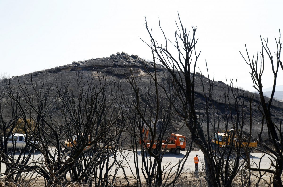 Έυβοια: Εικόνες καταστροφής μετά τη φωτιά – 10.000 στρέμματα έχουν καεί