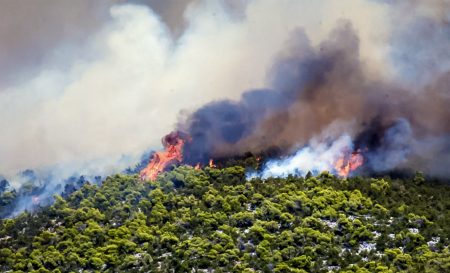 Φωτιά στην Εύβοια – Καίει ανεξέλεγκτο το μέτωπο προς Αφράτι