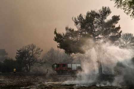 Φωτιά τώρα στη Βοιωτία – Μεγάλη επιχείρηση εναέριων μέσων