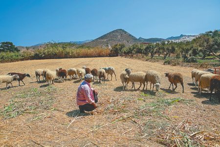 Η πανώλη τρομάζει και εξαπλώνεται