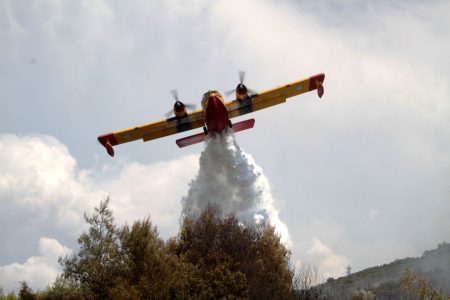 Φωτιά τώρα στον Παλαμπά Θεσπρωτίας – Ξεκίνησε από την Αλβανία