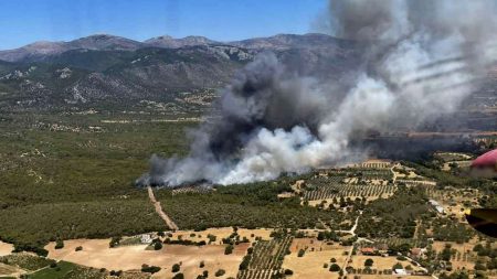 Φωτιά στο Νέο Μάζι: Συναγερμός στα Μέγαρα – «Κάηκαν σπίτια» λέει ο δήμαρχος