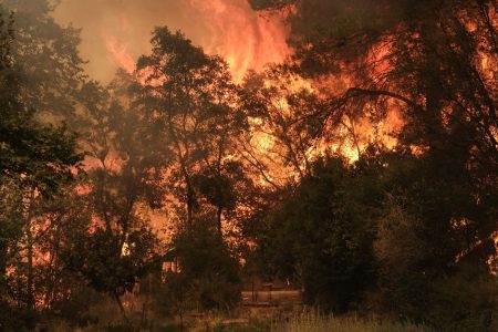 LIVE: Πύρινος εφιάλτης στην Αττική – Αναζωπυρώση στον Διόνυσο – Καίγονται σπίτια σε Πεντέλη, Βριλήσσια, Χαλάνδρι