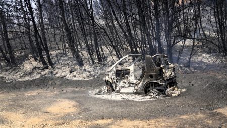 Φωτιά στην Αττική: Σε απόγνωση οι κάτοικοι στα Βριλήσσια-«Γίνεται χαλασμός-Έχουν καεί σπίτια»