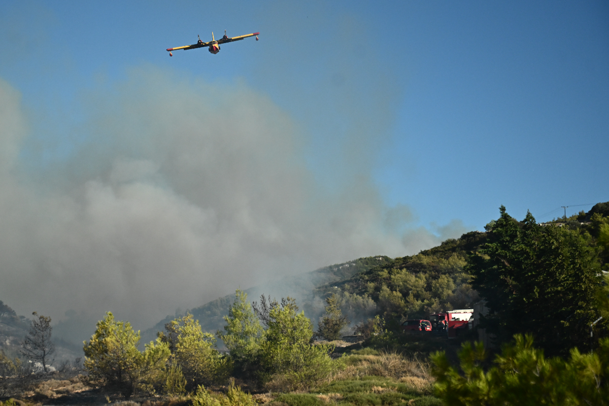 Φωτιά στην Αττική: Η νεότερη ενημέρωση της Πυροσβεστικής για τα πύρινα μέτωπα