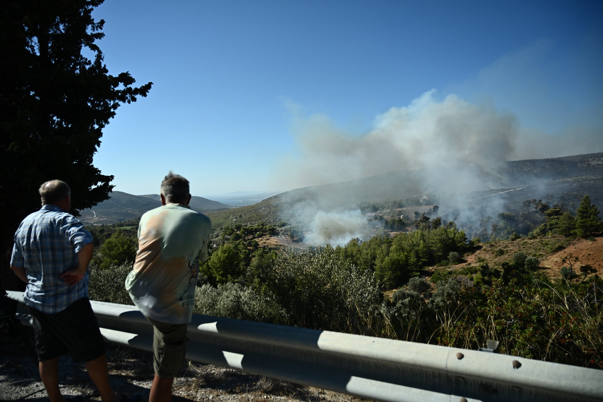 Φωτιά στον Βαρνάβα: Η ανησυχητική πρόβλεψη Λαγουβάρδου για τους ανέμους