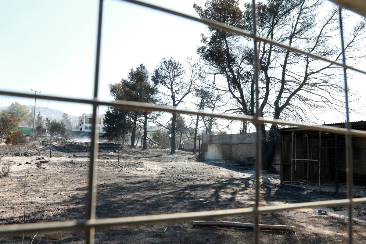 Τα μέτρα ενίσχυσης των πυρόπληκτων από τη φωτιά στην Αττική