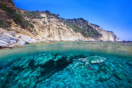 Ενα καλοκαιρινό οδοιπορικό στους σημαντικότερους ελληνικούς υδροβιοτόπους