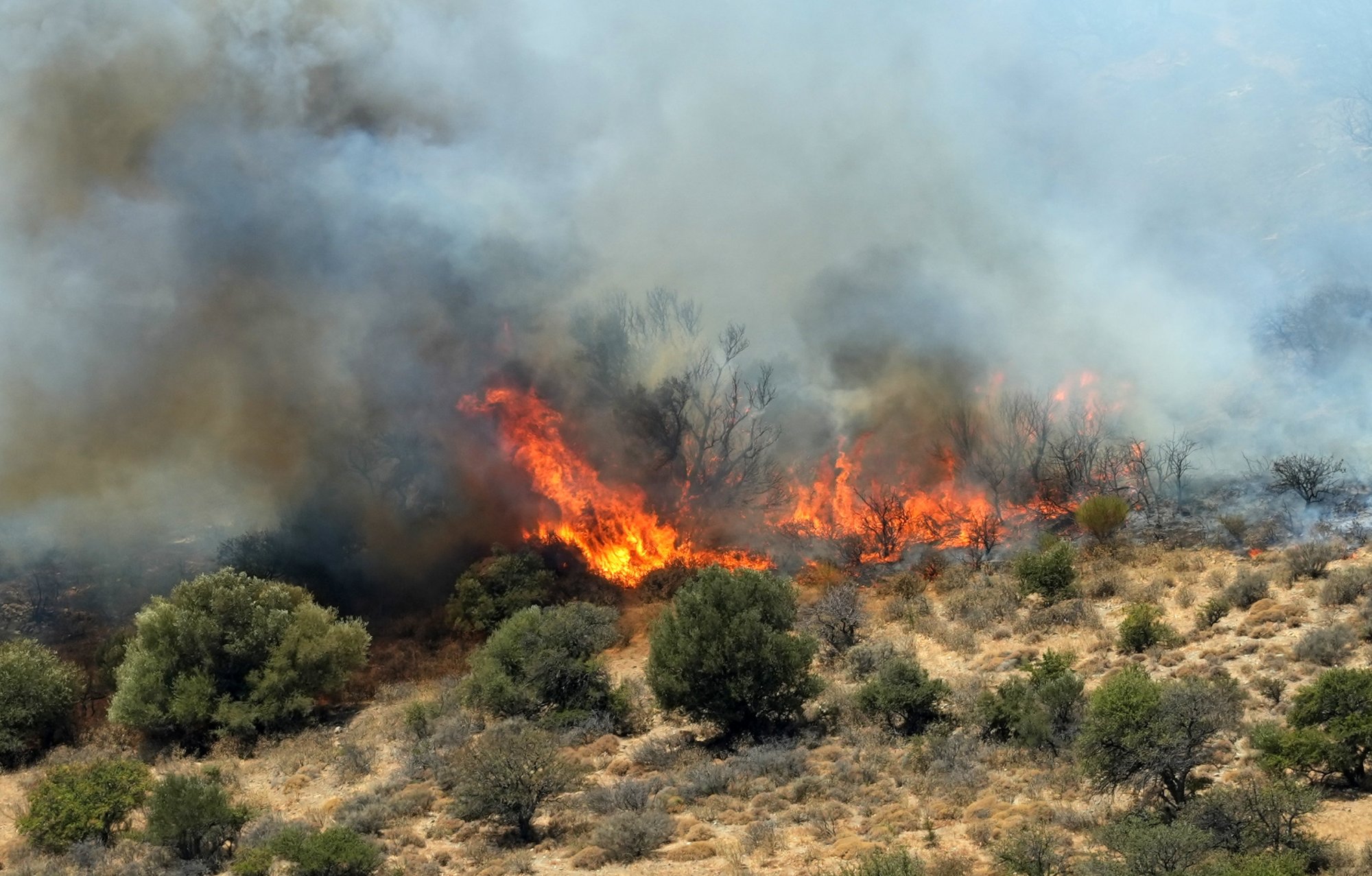 Υπό μερικό έλεγχο η φωτιά στην Καβάλα