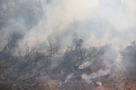 Φωτιά στα Ιωάννινα: Αναζωπυρώθηκε η πυρκαγιά στους Δρυμάδες Παγωνίου