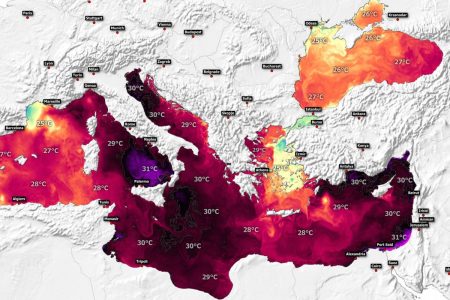 Γιατί τα λεοντόψαρα και οι λαγοκέφαλοι έρχονται στη Μεσόγειο