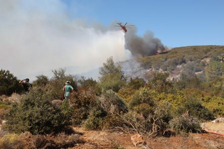 Πυροσβεστική: 52 πυρκαγιές το τελευταίο εικοσιτετράωρο σε όλη την χώρα