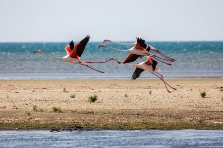 Έβρος: Όσα πρέπει να δείτε και να κάνετε εκεί που η Ανατολή συναντά τη Δύση