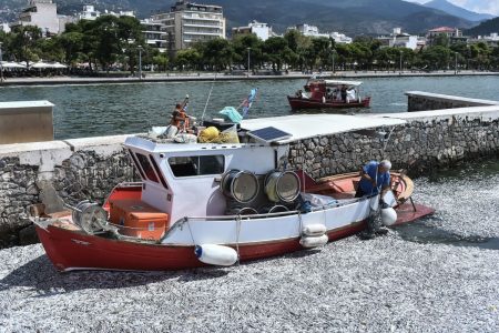 Νεκρά ψάρια στον Βόλο: Έγιναν θέμα στα διεθνή ΜΜΕ – Απειλεί με μήνυση η Ένωση Ξενοδόχων