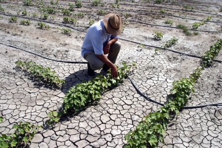 «Συνδέει την πρωτογενή παραγωγή με τη βιωσιμότητα»