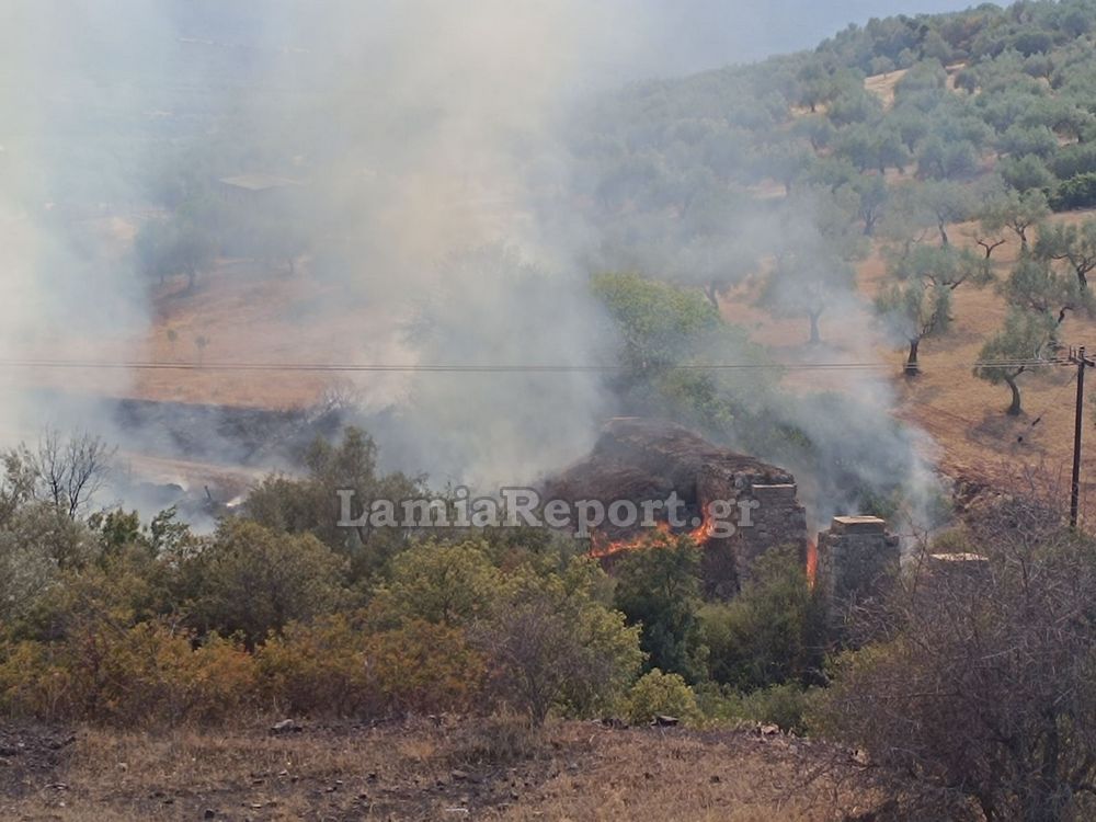 Φωτιά τώρα στη Φθιώτιδα, κοντά στο εργαστάσιο της ΛΑΡΚΟ