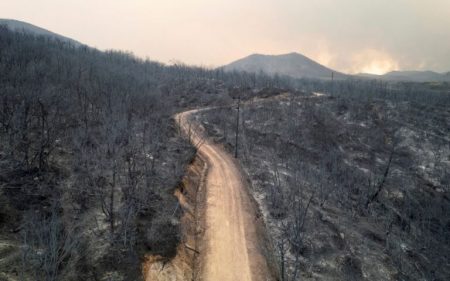 Νέα Συνάντηση της Ειδικής Επιτροπής για Αποκατάσταση του Έβρου