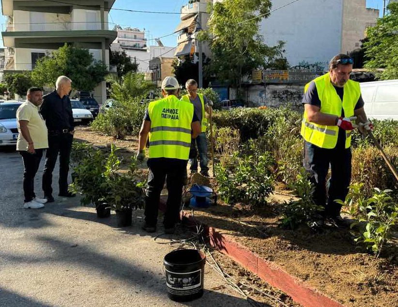 Παλαιά Κοκκινιά: 140 Νέα Δέντρα στην Πλατεία Αγίων Αναργύρων από το Δήμο Πειραιά