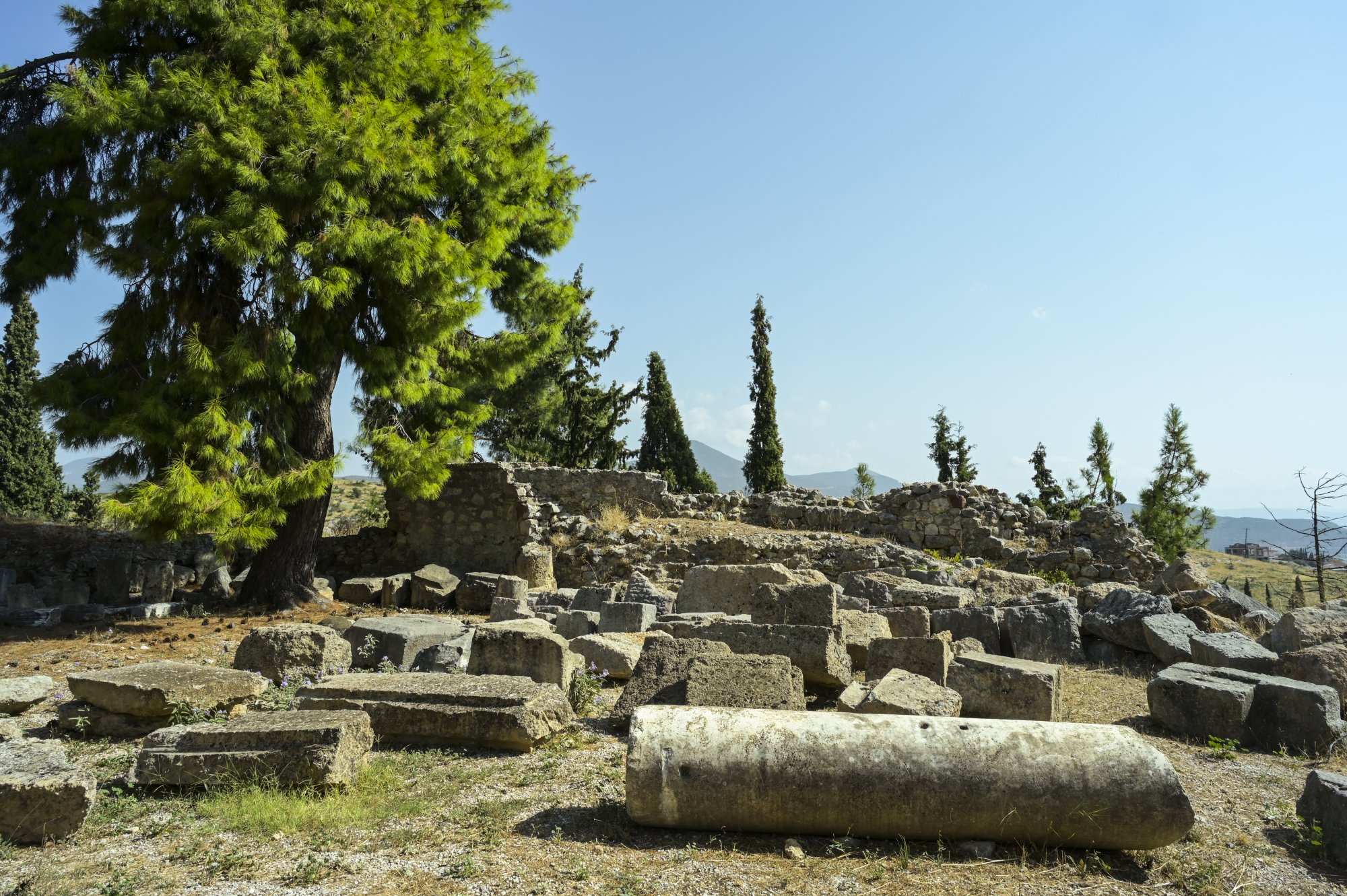 Θερμοπύλια 2024: Με το βλέμμα στους ξένους επισκέπτες