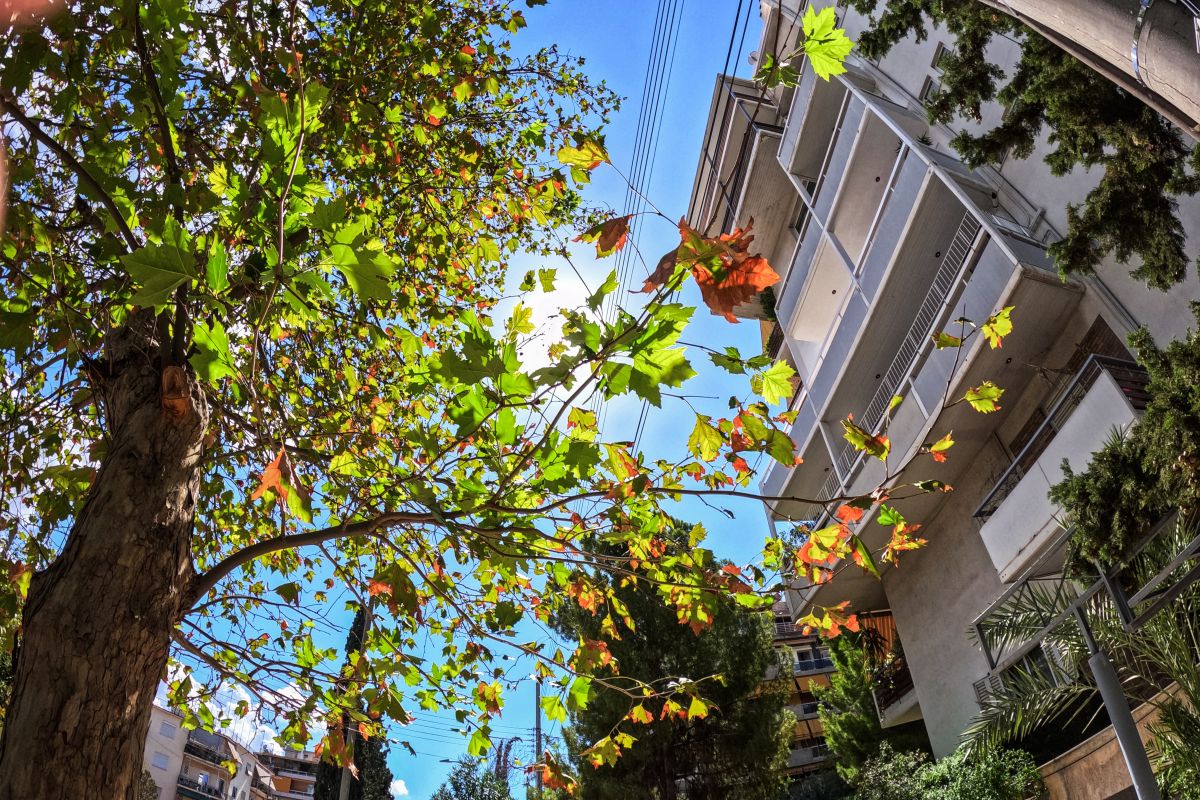 Καιρός: Καλοκαίρι μέσα στο φθινόπωρο με 30°C – Ραγδαία αλλαγή από Κυριακή