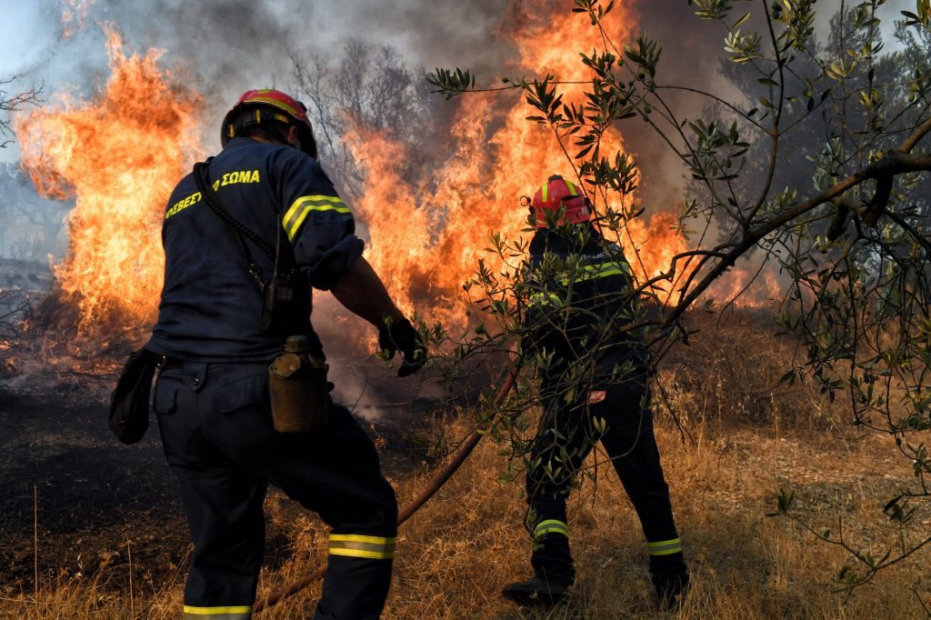 Φωτιά τώρα σε χαμηλή βλάστηση στο Καβούρι Ηλείας