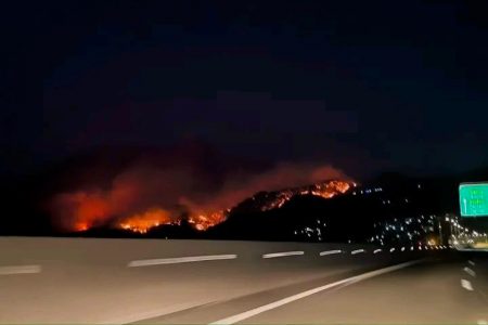 Φωτιά στην Κάρυστο – Ισχυρές δυνάμεις στο σημείο