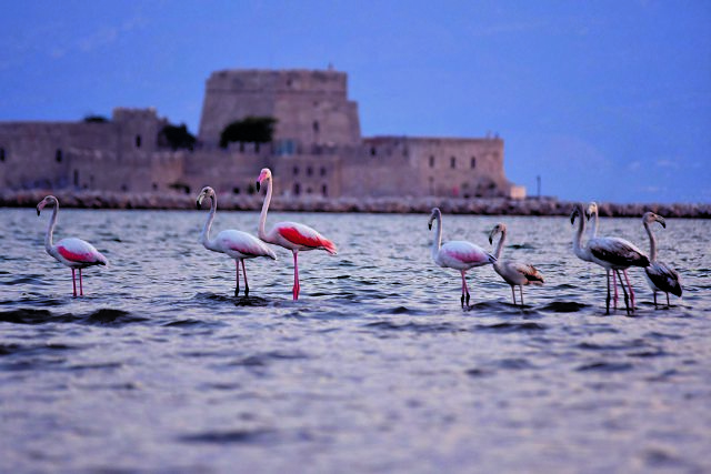 Εγκλεισμός και πολιτισμός