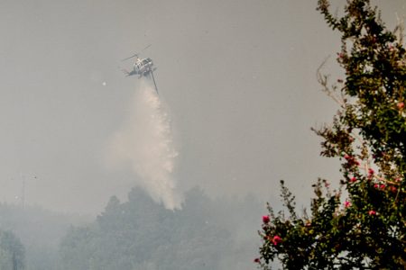 Φωτιά τώρα στην Κερατέα Αττικής – Σηκώθηκαν εναέρια μέσα