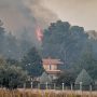 Φωτιά στην Ηλεία: Βελτιωμένη η εικόνα των μετώπων – Τραυματίστηκε σοβαρά πυροσβέστης