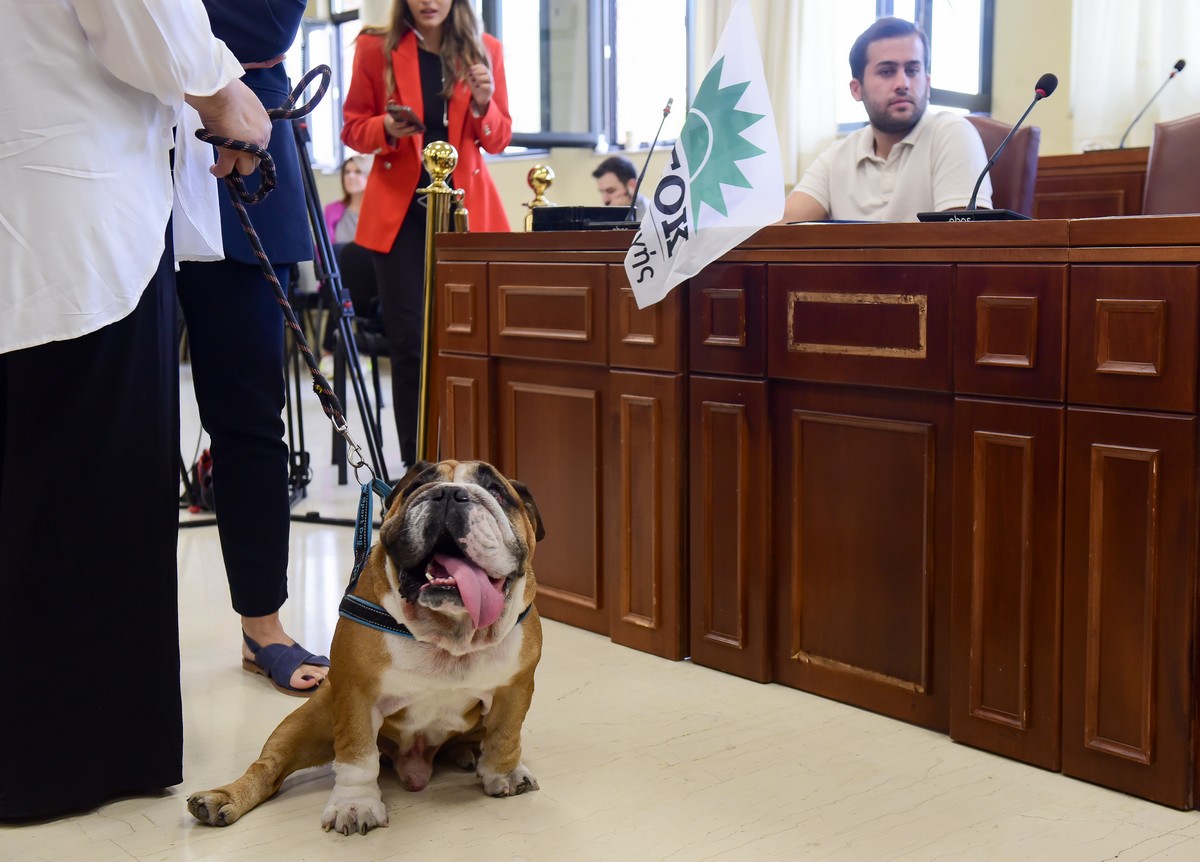 Εκλογικά κέντρα ΠαΣοΚ: Το κλίμα, οι ουρές και τα πηγαδάκια – Οι ατάκες που ξεχώρισαν