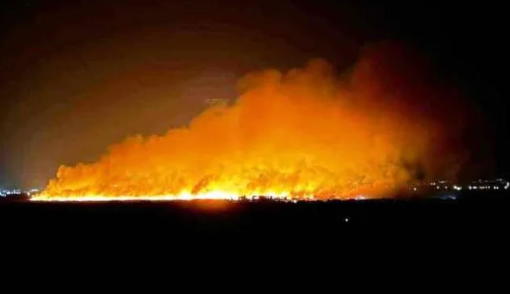 Φωτιά τώρα στην Αχαΐα, κοντά στο προστατευόμενο δάσος της Στροφυλιάς