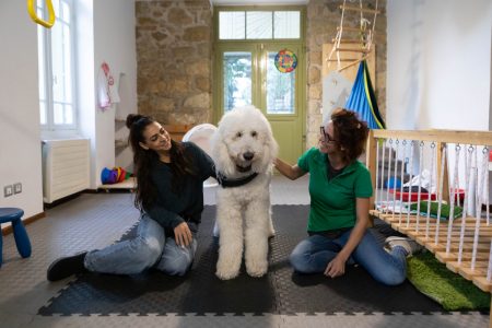 Dog Therapy: Οι τετράποδοι «γιατροί» που αλλάζουν τις ζωές των ανθρώπων