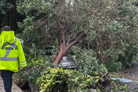 Σε έκτακτη ανάγκη λόγω Bora η Θεσσαλονίκη – Έκτη μέρα χωρίς ρεύμα η Καλαμαριά