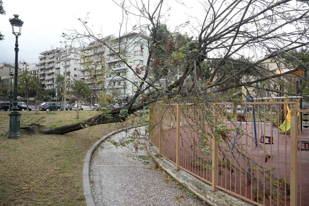 Κλειστά σχολεία τη Δευτέρα για την κακοκαιρία Bora – Όλες οι περιοχές