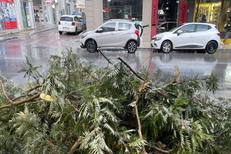 Χανιά: Προβλήματα από την κακοκαιρία – Σπασμένα κλαδιά και κατολισθήσεις