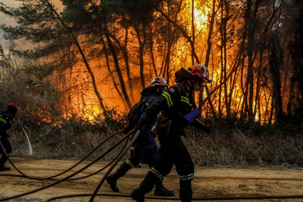 Ασπίδα €1 δισ. για τα δάση από το χρηματιστήριο ρύπων